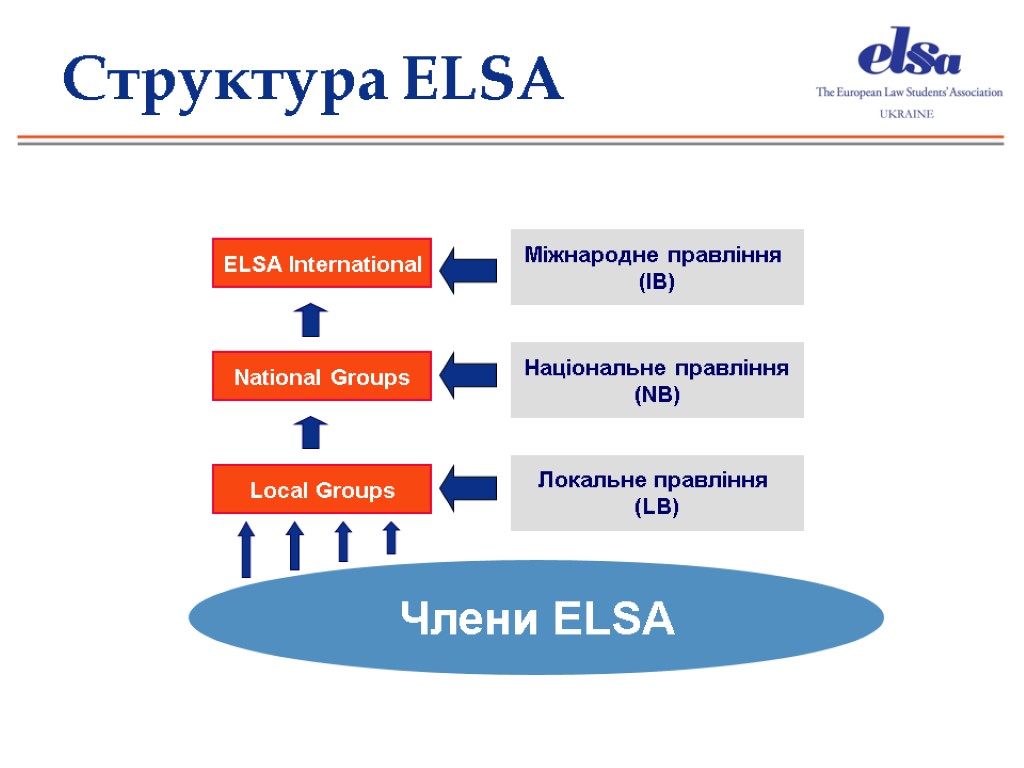 Структура ELSA ELSA International National Groups Local Groups Міжнародне правління (IB) Національне правління (NB)